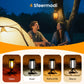 🔥Zonne-energie Campinglamp met 4 Lichtmodi
