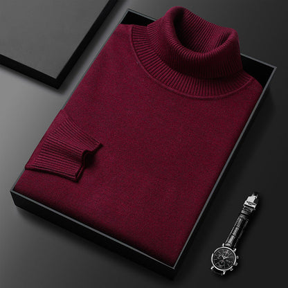 ⏳ Hot Sale!  ⏰Men's Solid Color Premium Turtleneck Sweater👔