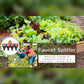 Tuinwaterslangverdeler